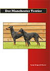Der Manchester Terrier
