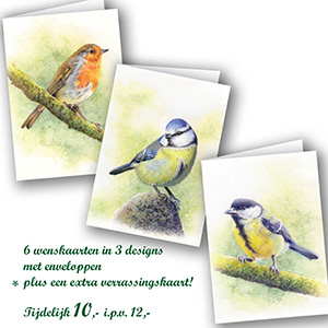 Kaartenset Tuinvogels